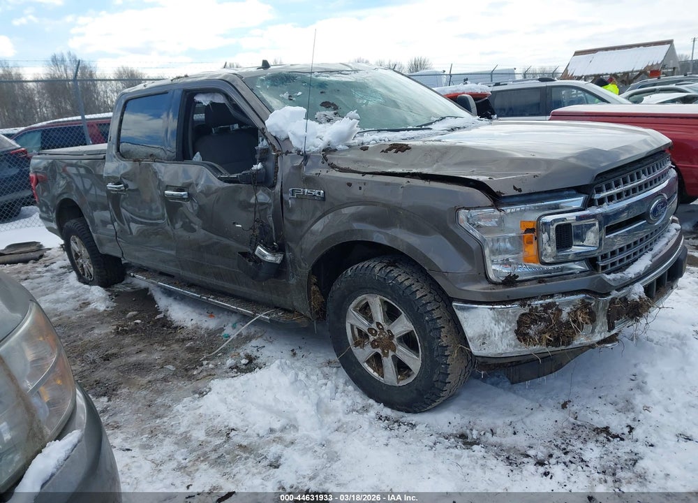 2019 FORD F-150 XLT VIN: 1FTFW1E47KFB10148