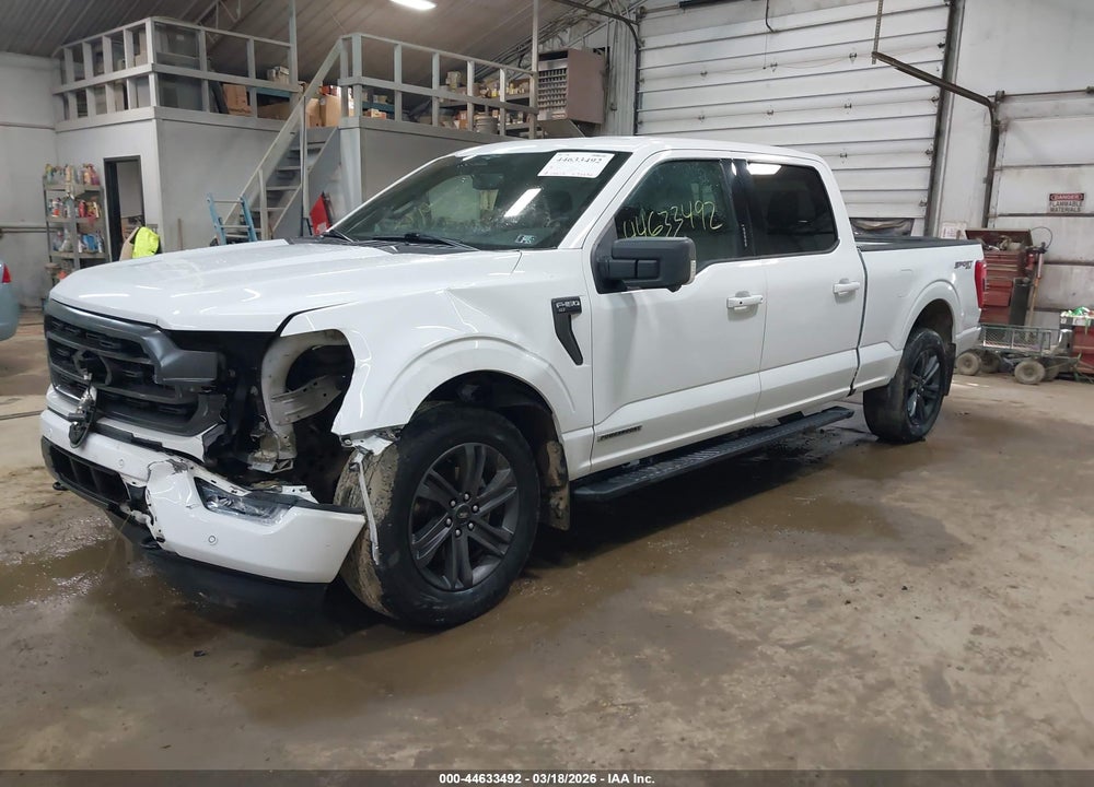 2023 FORD F-150 XLT VIN: 1FTFW1ED2PFB08668