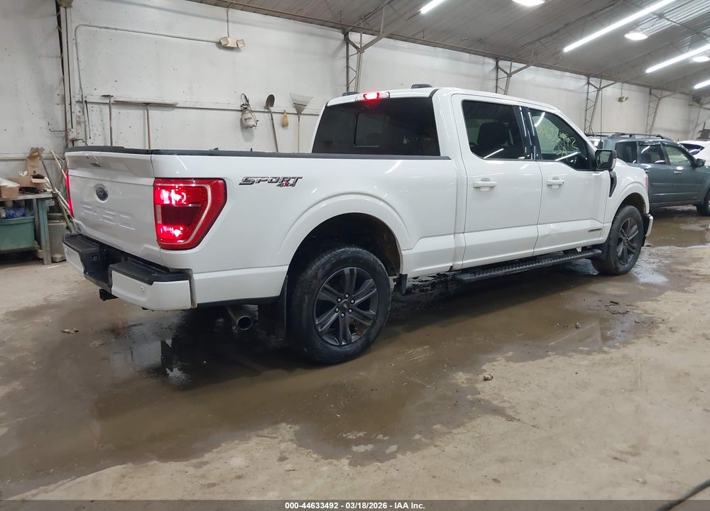 2023 FORD F-150 XLT VIN: 1FTFW1ED2PFB08668