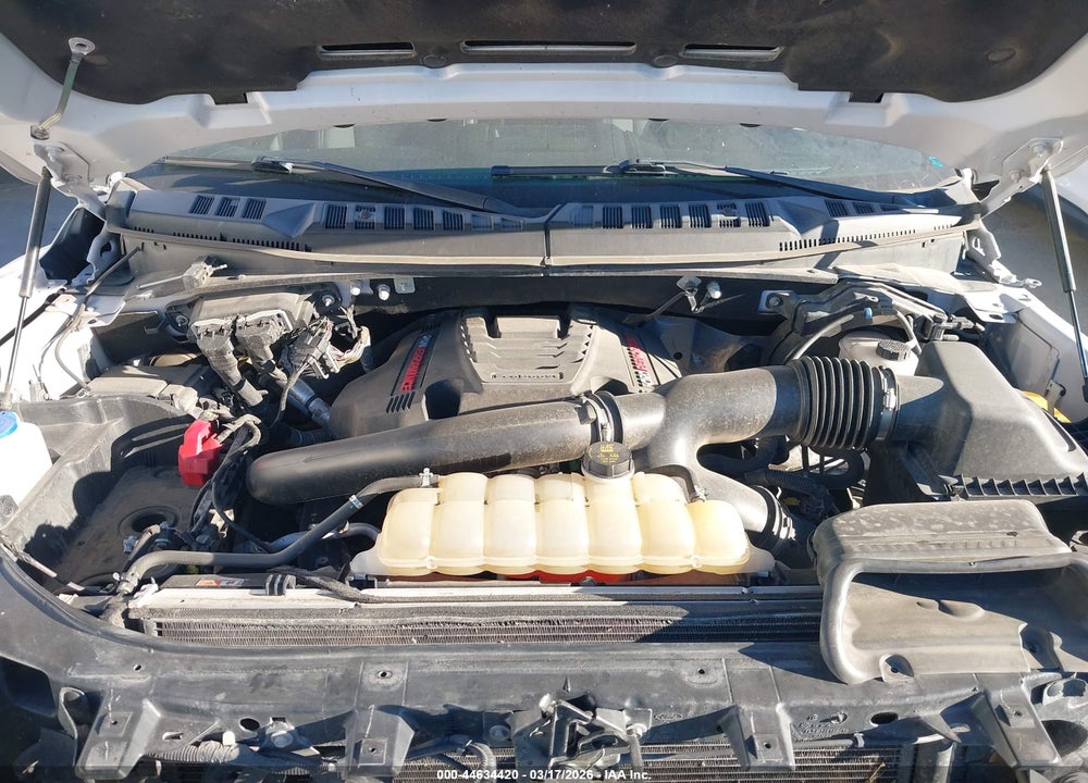 2019 FORD F-150 RAPTOR VIN: 1FTFW1RG8KFA40258