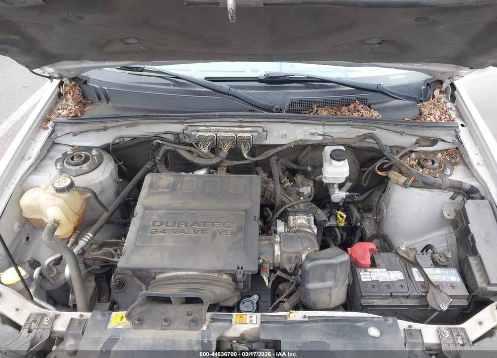 2010 FORD ESCAPE XLT VIN: 1FMCU9DGXAKD27634