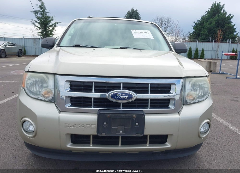 2010 FORD ESCAPE XLT VIN: 1FMCU9DGXAKD27634