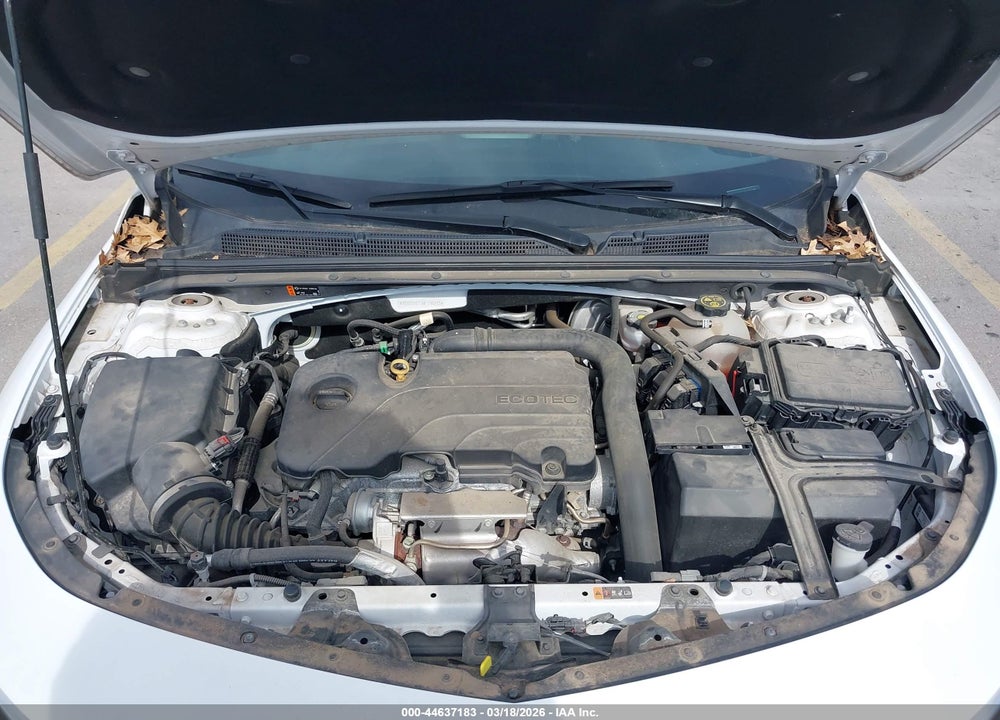 2019 CHEVROLET MALIBU 1FL VIN: 1G1ZC5ST1KF198213