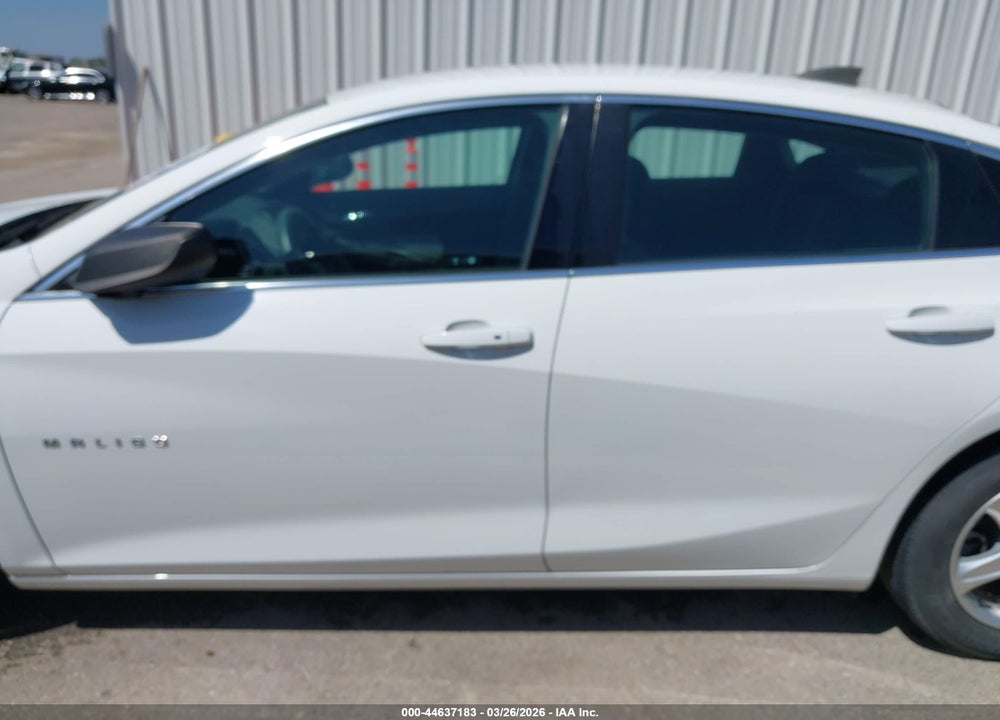 2019 CHEVROLET MALIBU 1FL VIN: 1G1ZC5ST1KF198213