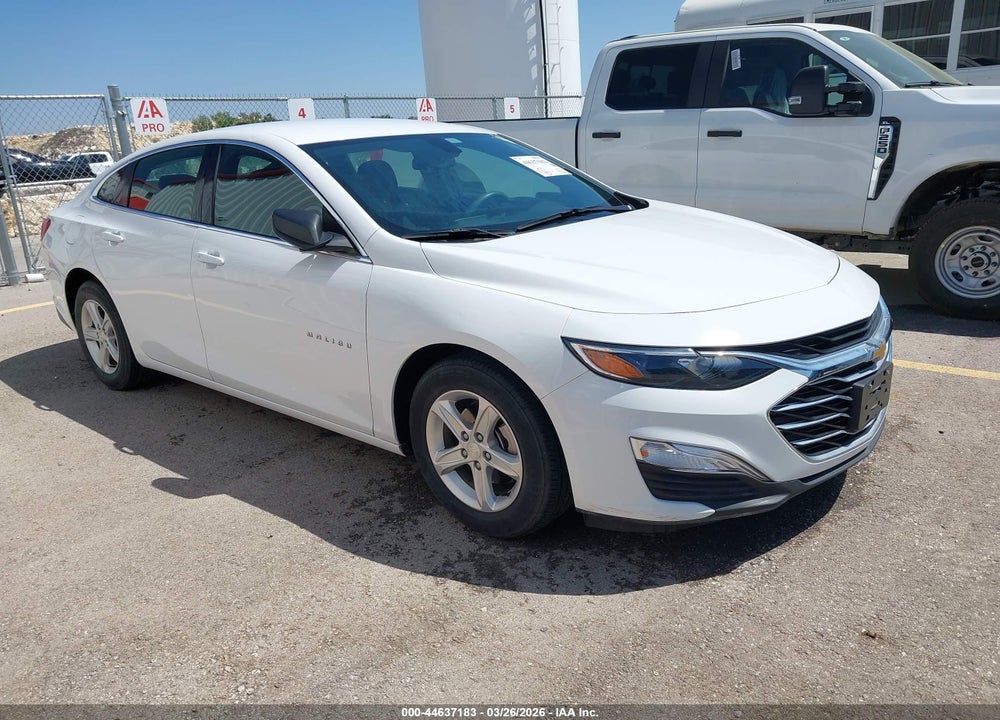 2019 CHEVROLET MALIBU 1FL VIN: 1G1ZC5ST1KF198213