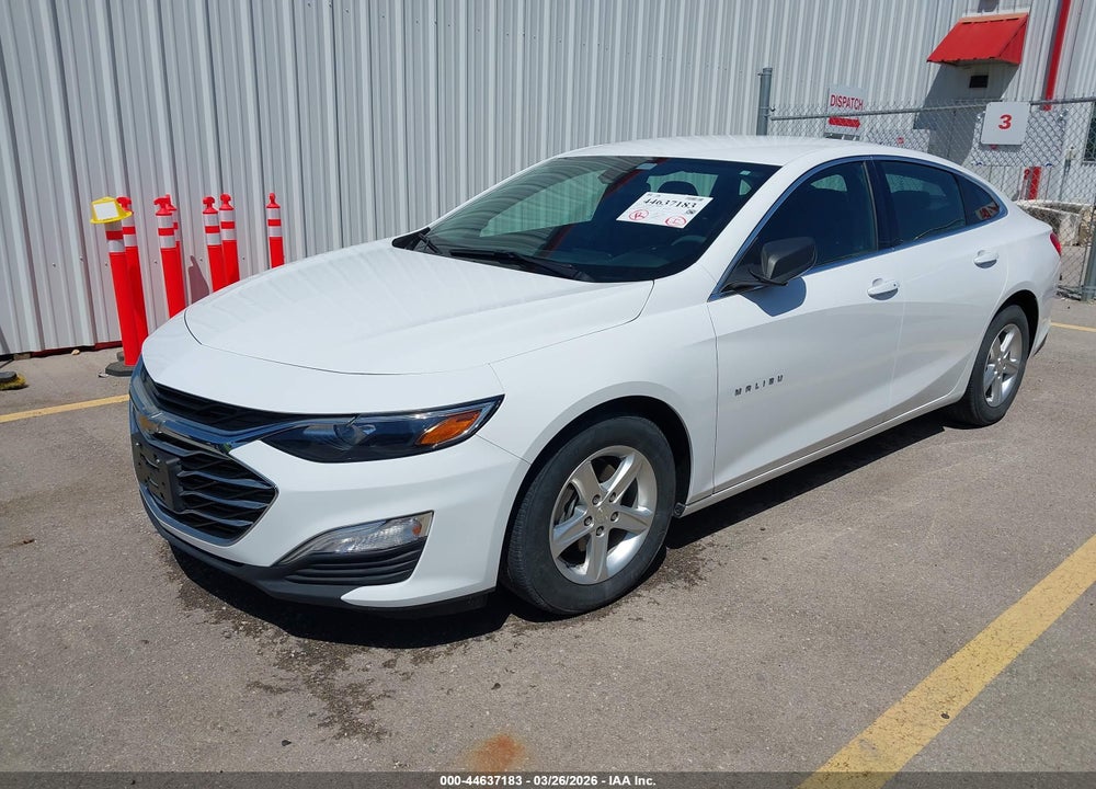 2019 CHEVROLET MALIBU 1FL VIN: 1G1ZC5ST1KF198213