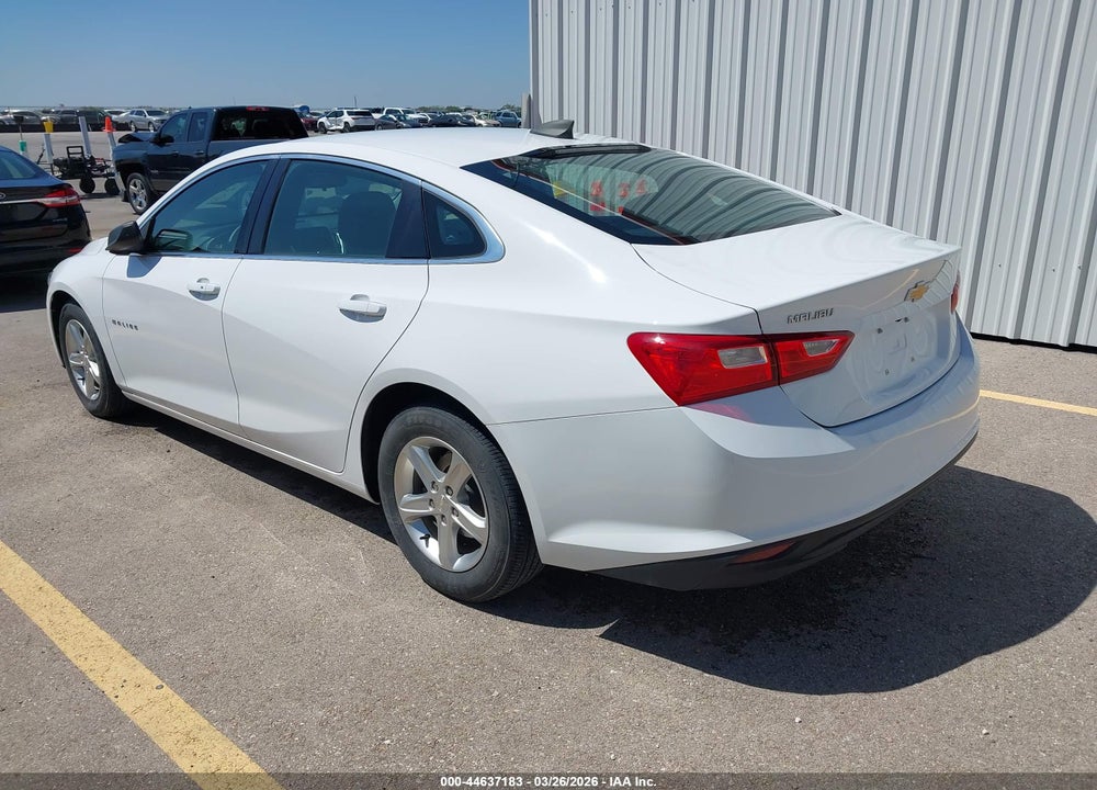 2019 CHEVROLET MALIBU 1FL VIN: 1G1ZC5ST1KF198213