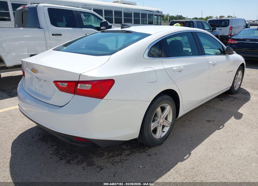 2019 CHEVROLET MALIBU 1FL VIN: 1G1ZC5ST1KF198213