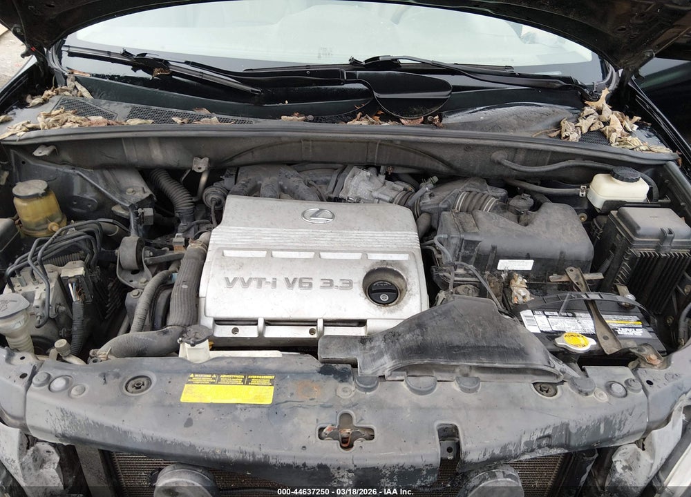 2006 LEXUS RX 330 VIN: 2T2GA31U86C050279
