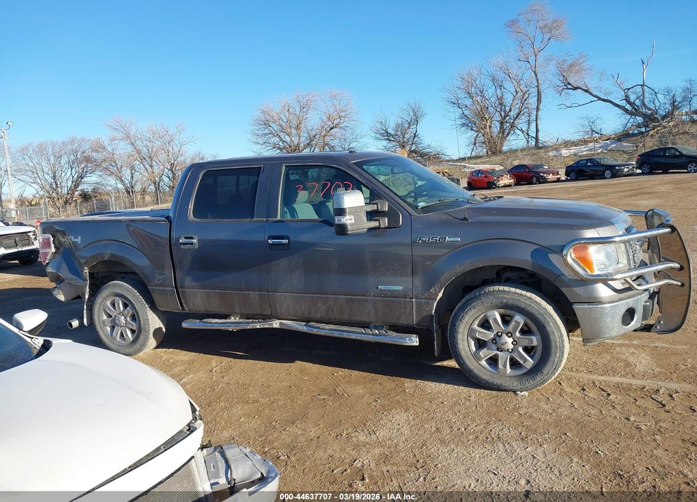 2013 FORD F-150 XLT VIN: 1FTFW1ET8DKE44982