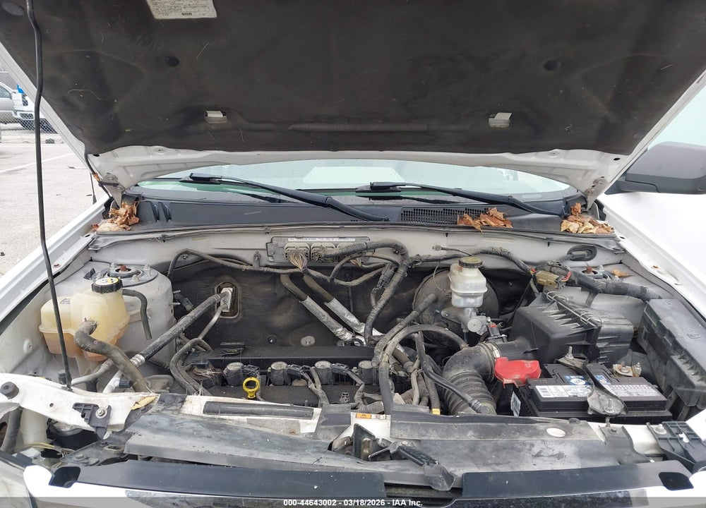 2011 FORD ESCAPE XLT VIN: 1FMCU9D79BKC11228