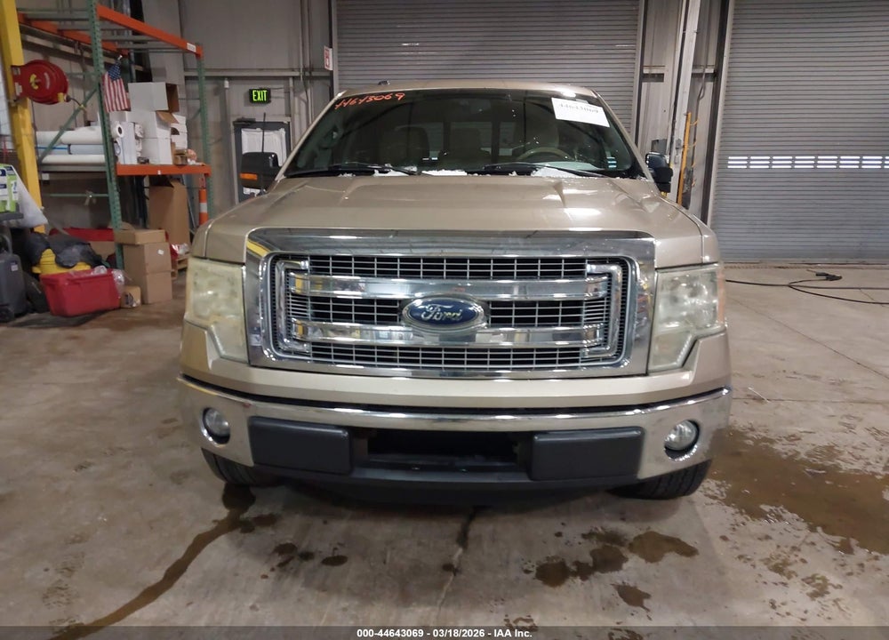 2013 FORD F-150 XLT VIN: 1FTFW1CF7DKF93445