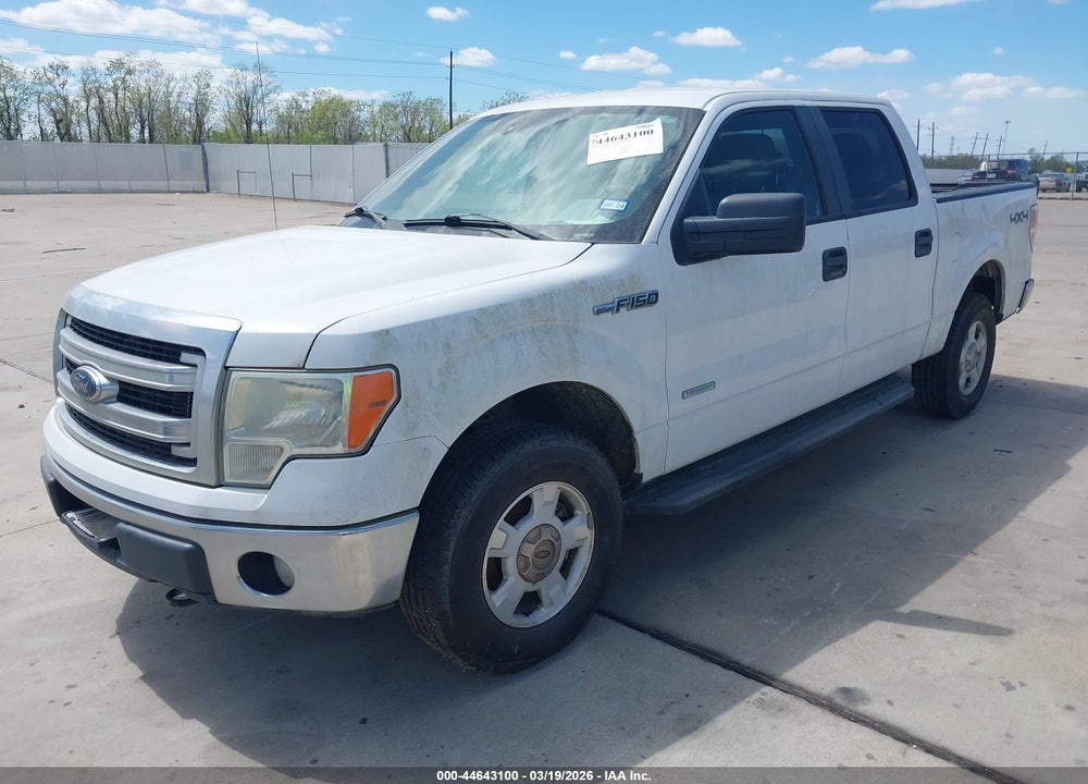 2013 FORD F-150 XLT VIN: 1FTFW1ET8DKD91135