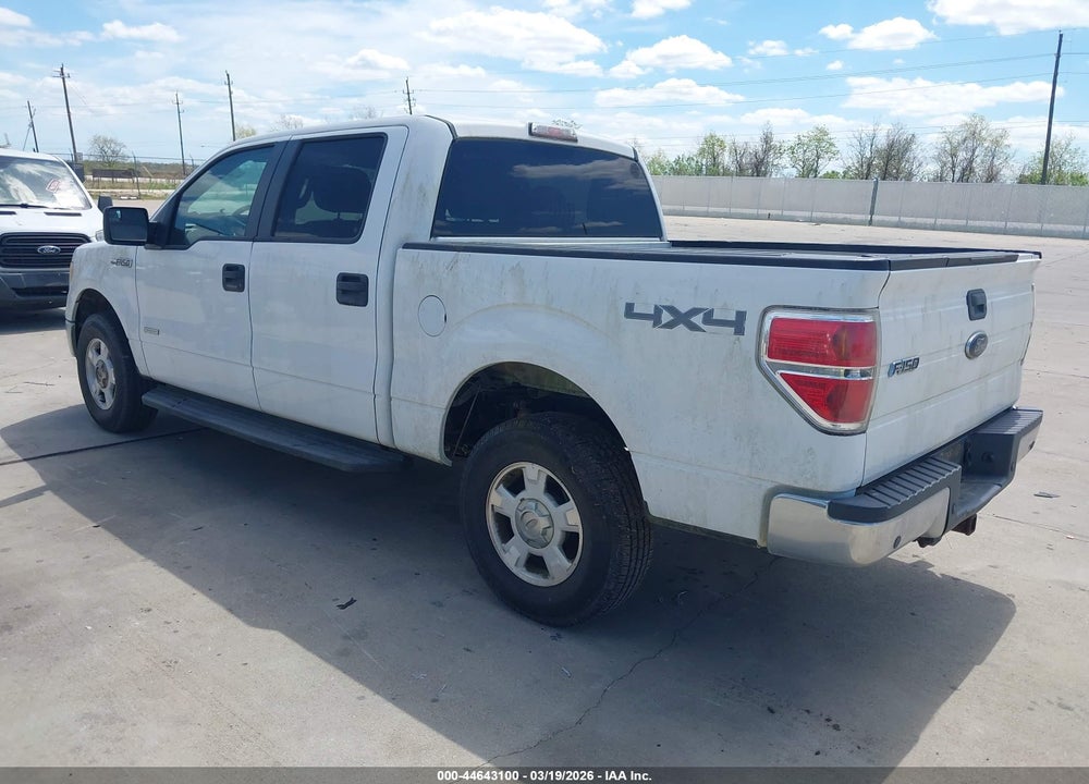 2013 FORD F-150 XLT VIN: 1FTFW1ET8DKD91135