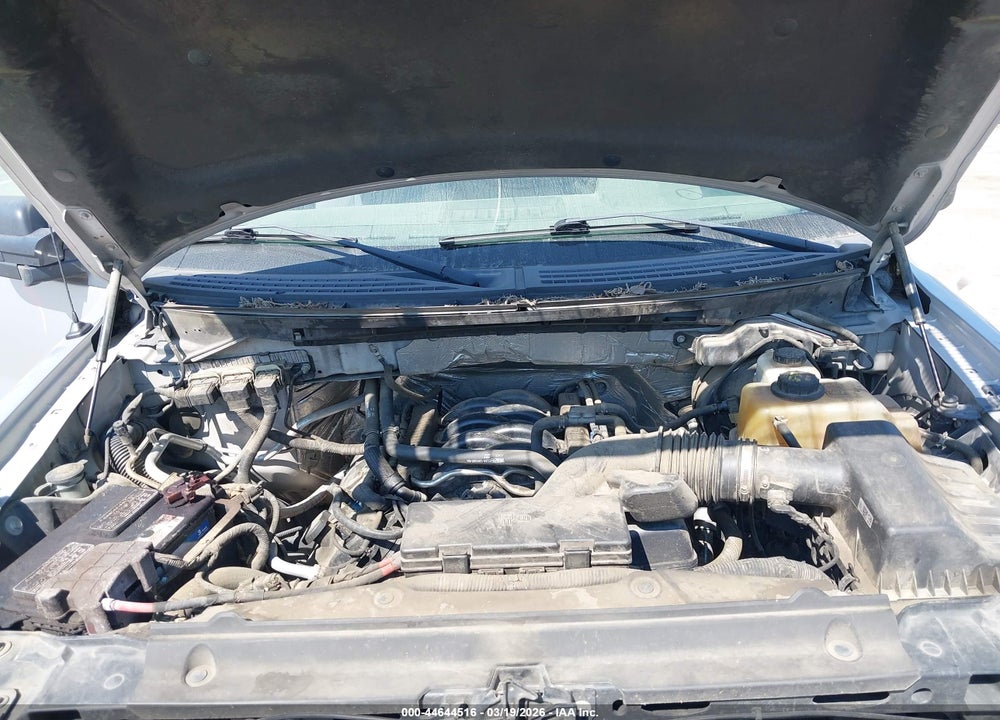 2013 FORD F-150 STX VIN: 1FTFX1EF0DFD56539
