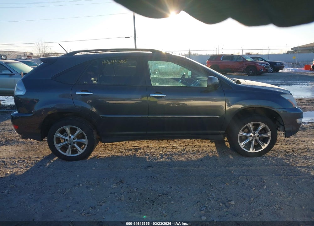 2009 LEXUS RX 350 VIN: 2T2HK31U09C119603
