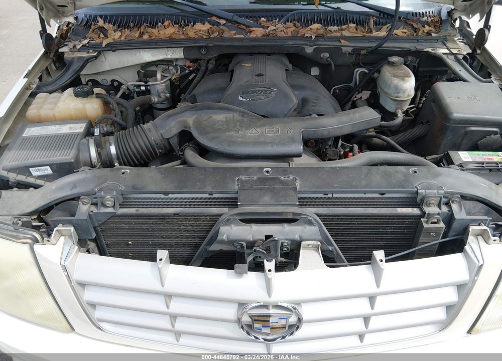 2004 CADILLAC ESCALADE STANDARD VIN: 1GYEK63N04R294408