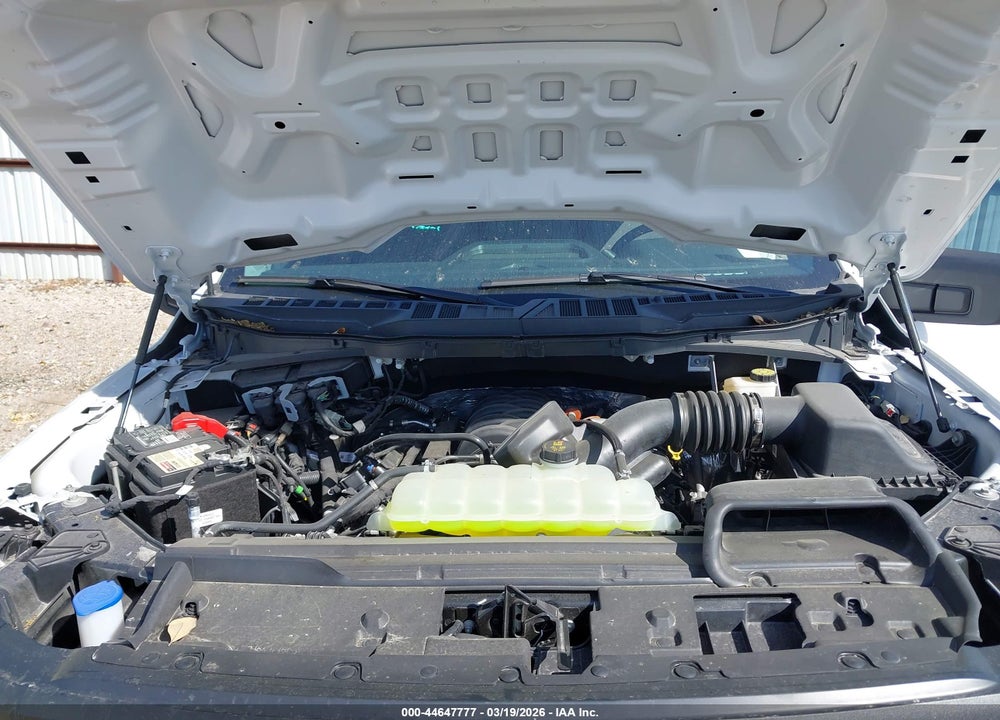2024 FORD F-150 XL VIN: 1FTMF1L50RKE97355