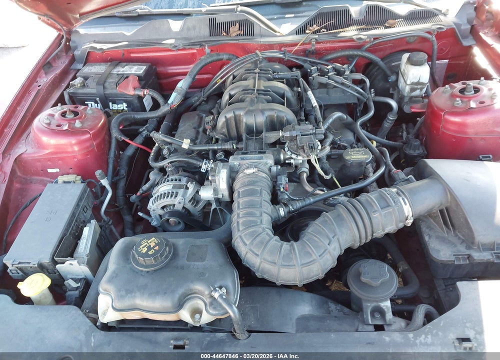 2010 FORD MUSTANG V6/V6 PREMIUM VIN: 1ZVBP8EN6A5147738