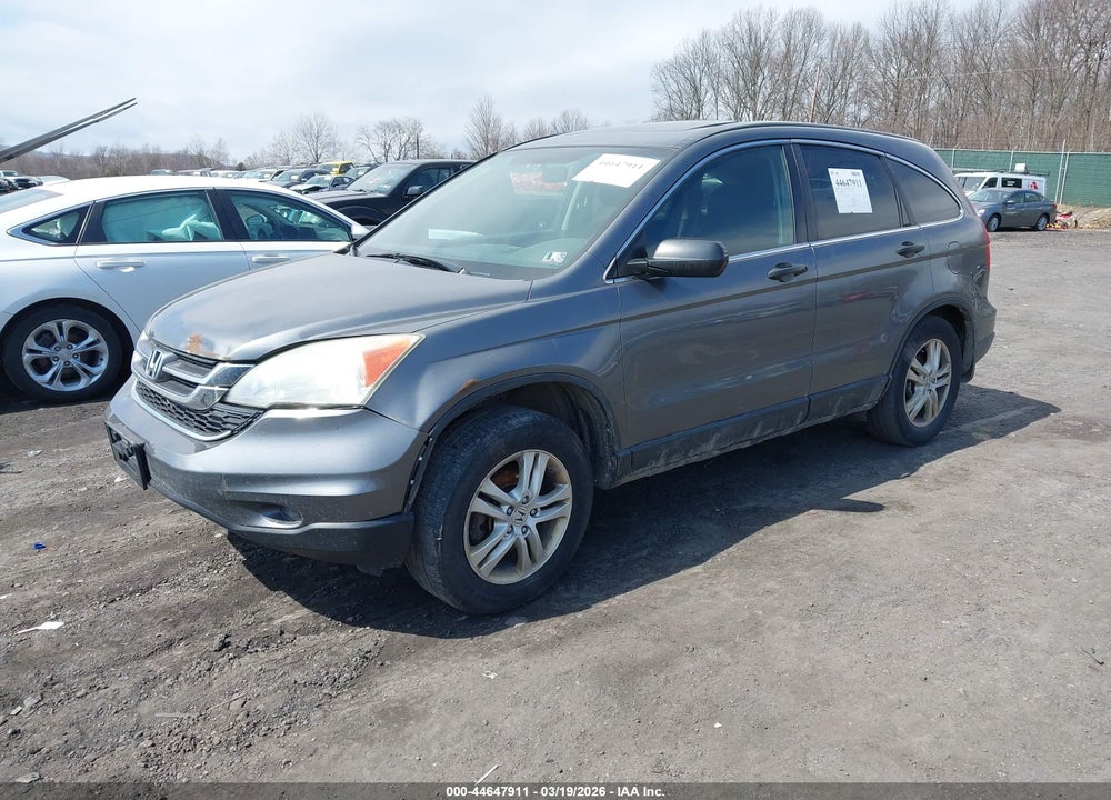 2010 HONDA CR-V EX VIN: 5J6RE4H57AL010597