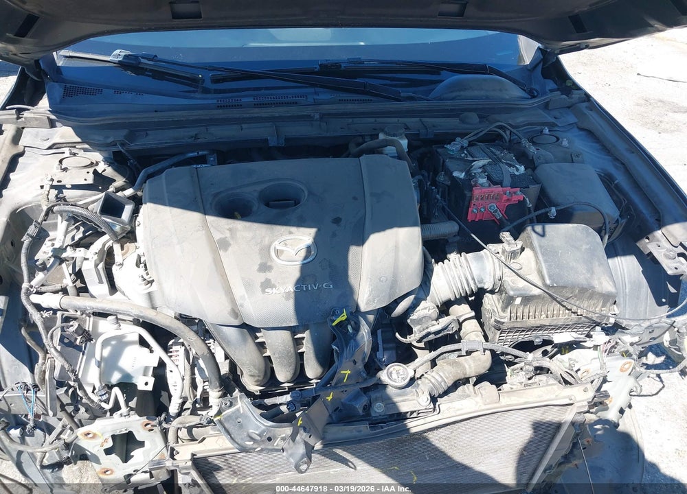 2019 MAZDA 3 VIN: JM1BPALM8K1109067