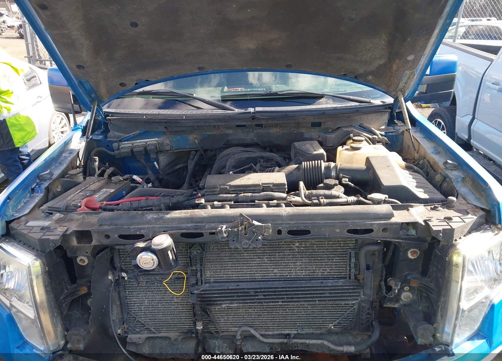 2010 FORD F-150 STX VIN: 1FTEX1E81AFA21881