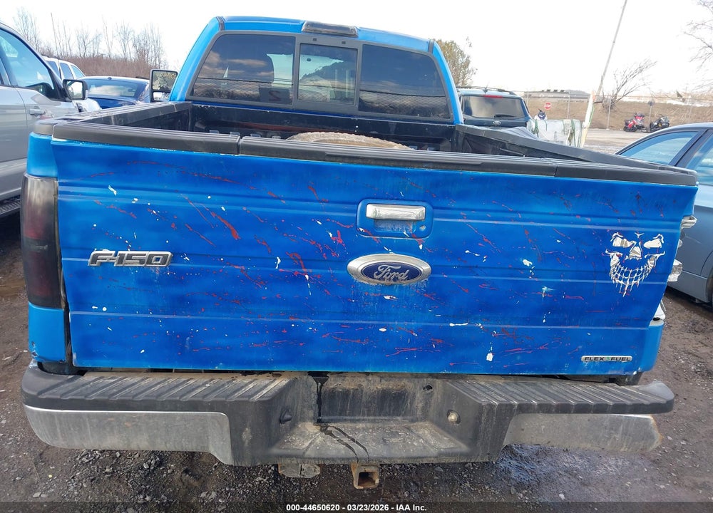 2010 FORD F-150 STX VIN: 1FTEX1E81AFA21881