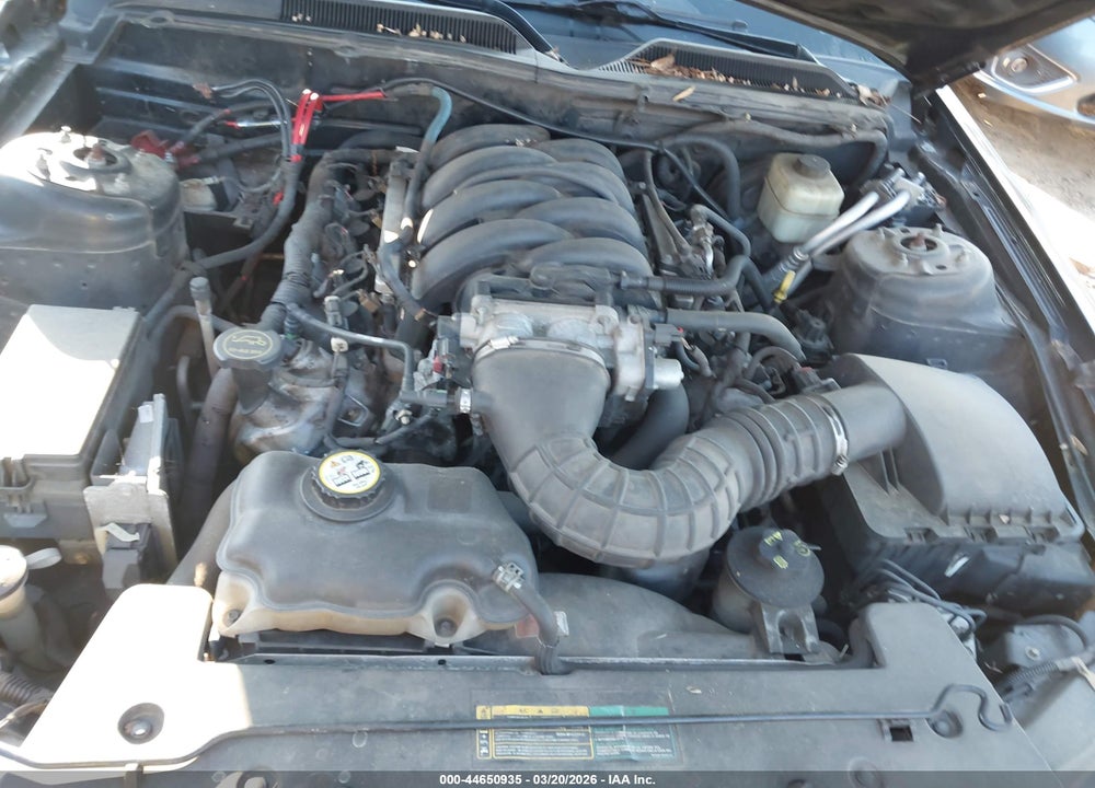 2007 FORD MUSTANG GT DELUXE/GT PREMIUM VIN: 1ZVFT85H975215899