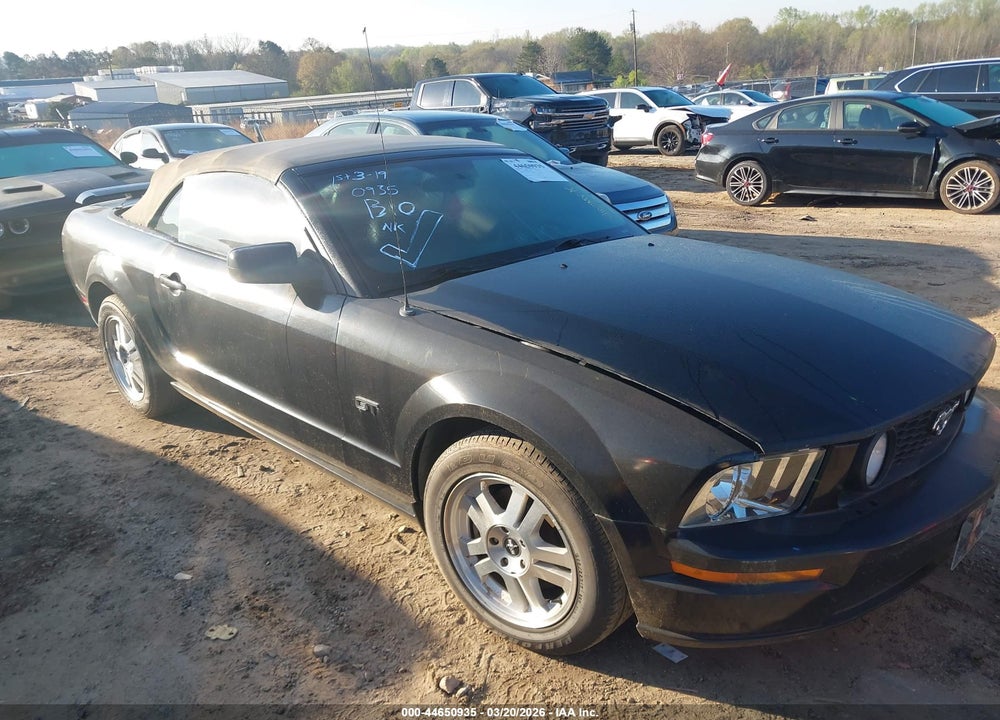 2007 FORD MUSTANG GT DELUXE/GT PREMIUM VIN: 1ZVFT85H975215899