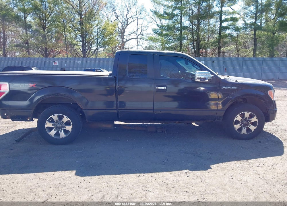 2011 FORD F-150 STX VIN: 1FTEX1CM8BFA29977