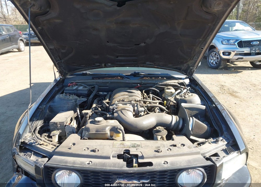 2005 FORD MUSTANG GT DELUXE/GT PREMIUM VIN: 1ZVFT82H055164407