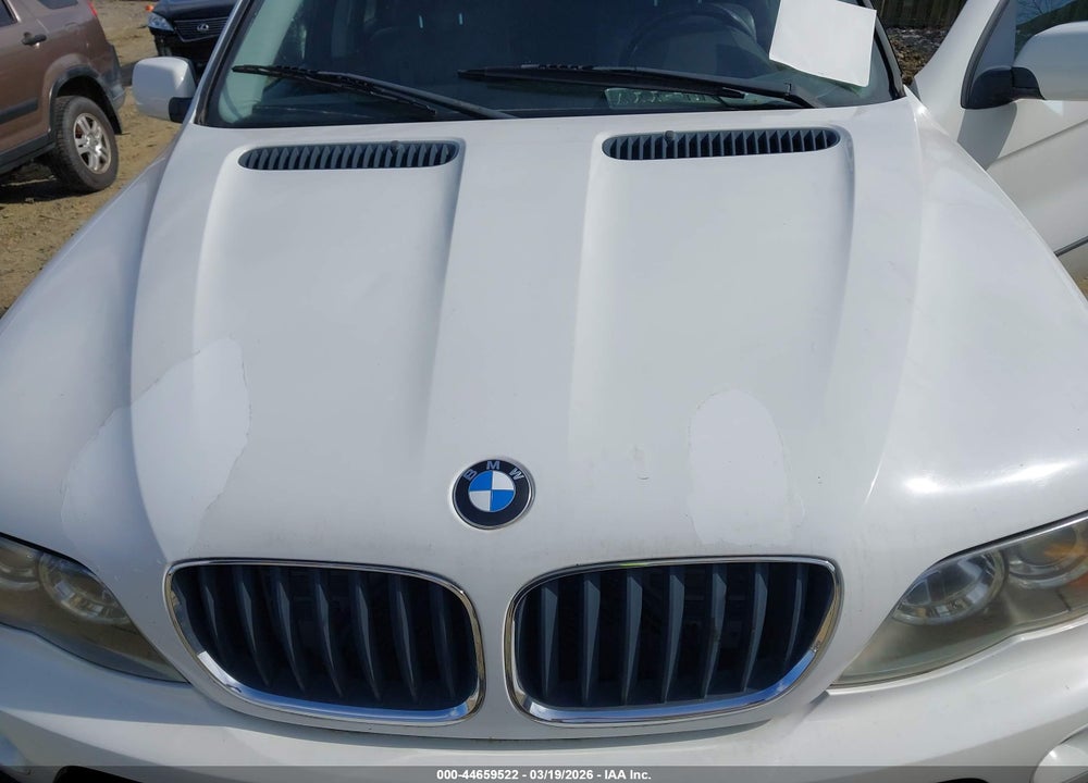 2005 BMW X5 3.0I VIN: 5UXFA13515LY20595