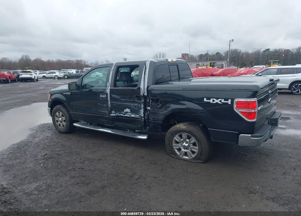 2012 FORD F-150 XLT VIN: 1FTFW1EF8CFC46677