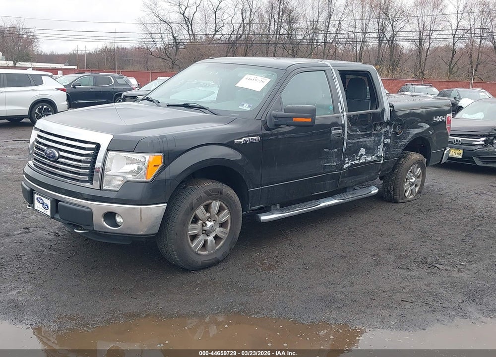 2012 FORD F-150 XLT VIN: 1FTFW1EF8CFC46677