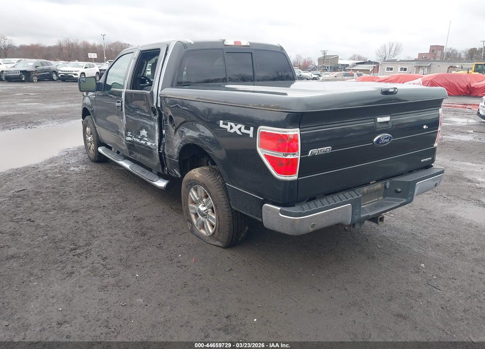 2012 FORD F-150 XLT VIN: 1FTFW1EF8CFC46677