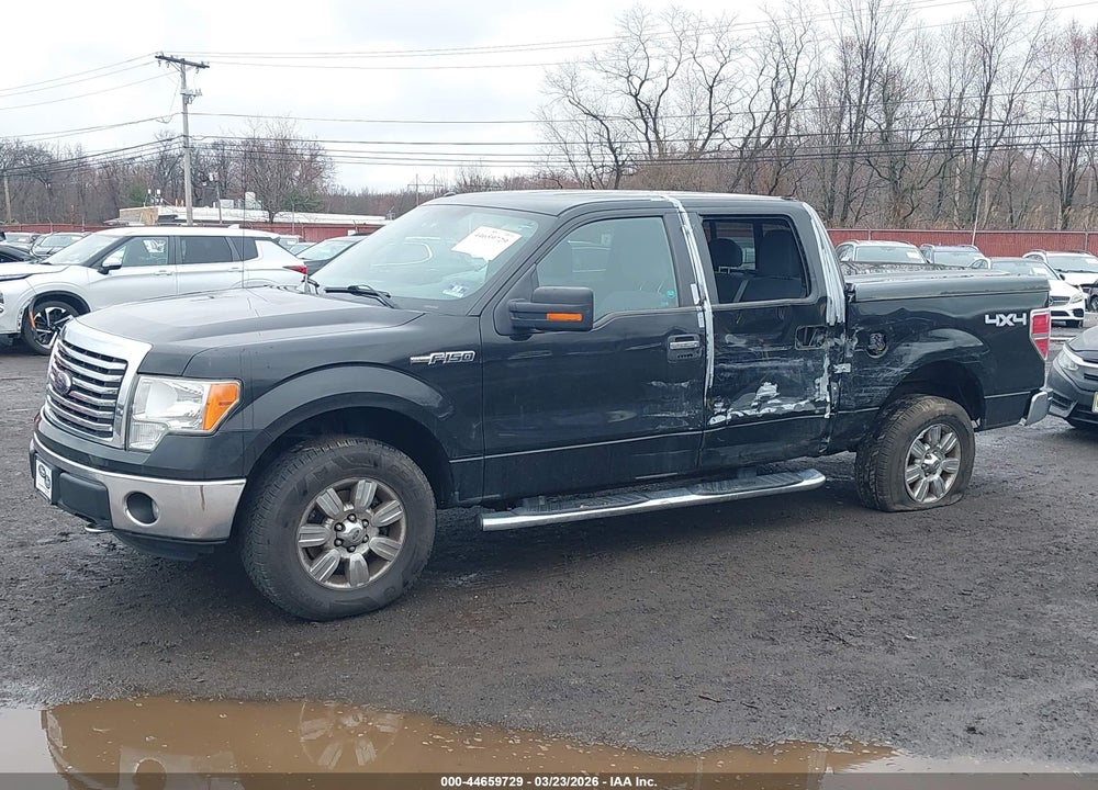 2012 FORD F-150 XLT VIN: 1FTFW1EF8CFC46677