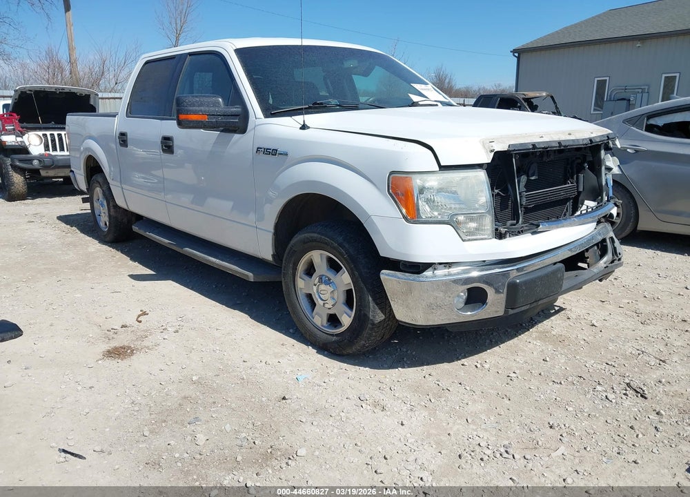 2013 FORD F-150 XLT VIN: 1FTEW1CM2DKD61796
