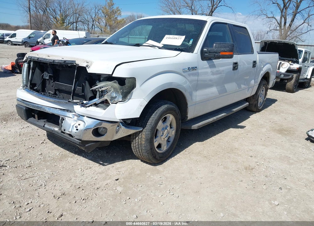 2013 FORD F-150 XLT VIN: 1FTEW1CM2DKD61796