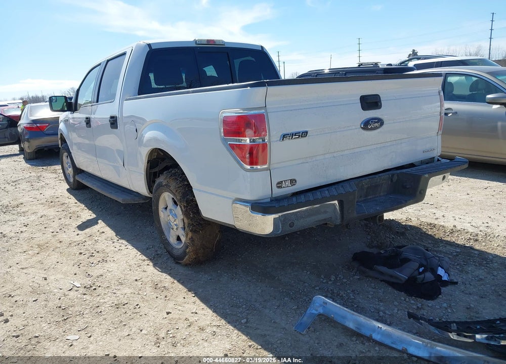 2013 FORD F-150 XLT VIN: 1FTEW1CM2DKD61796