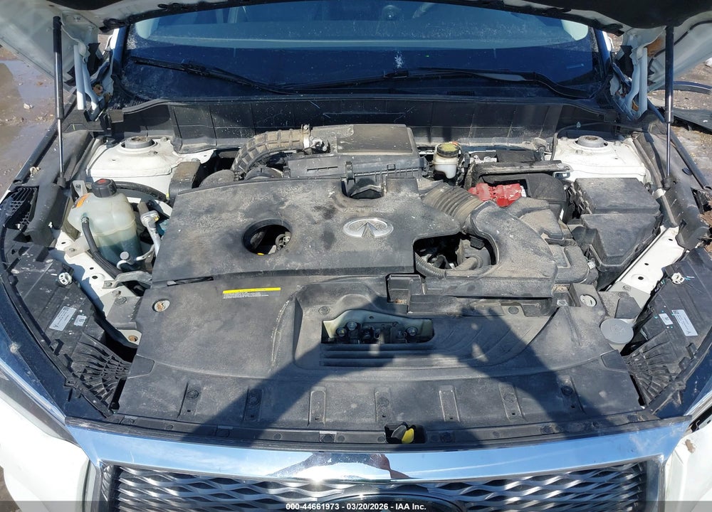 2019 INFINITI QX50 LUXE VIN: 3PCAJ5M31KF108022