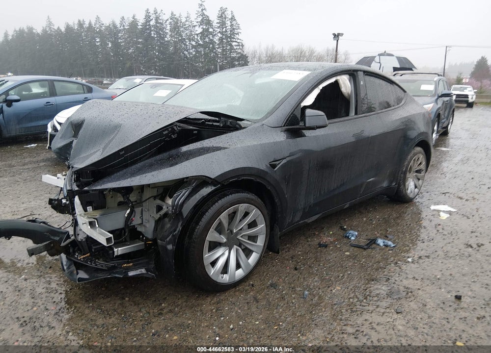 2026 TESLA MODEL Y PREMIUM REAR-WHEEL DRIVE/STANDARD REAR-WHEEL DRIVE VIN: 7SAYGDED4TF401870
