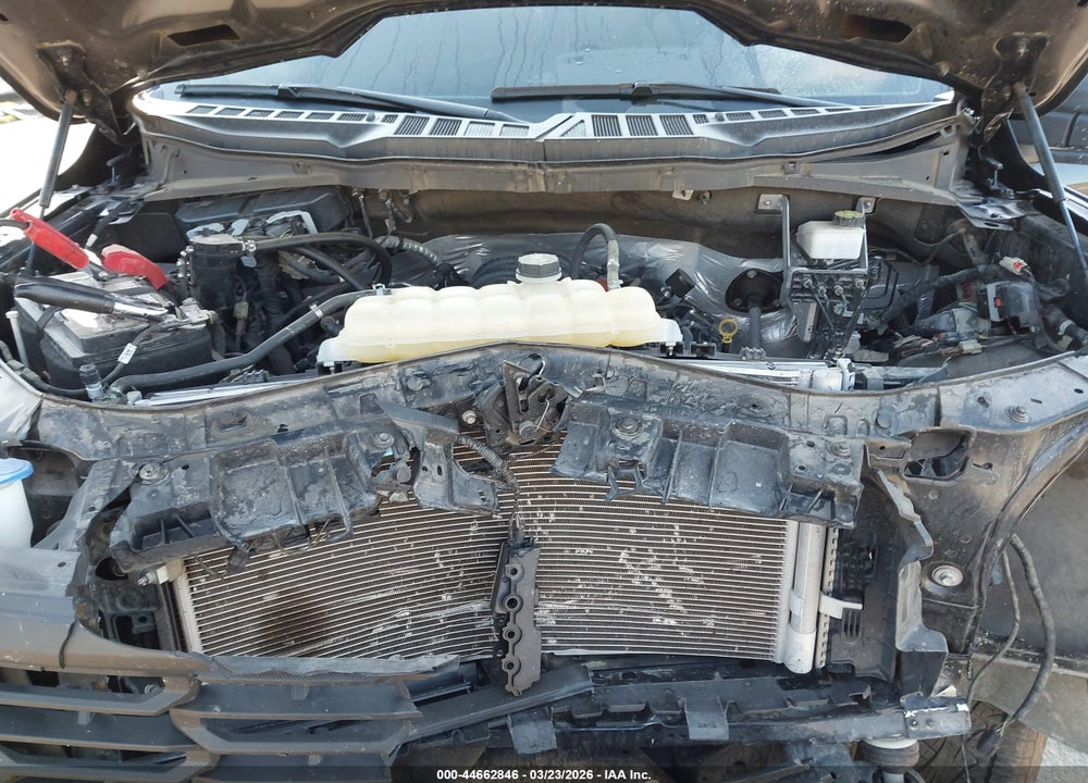 2024 FORD F-150 XL VIN: 1FTMF1L51RKF44277