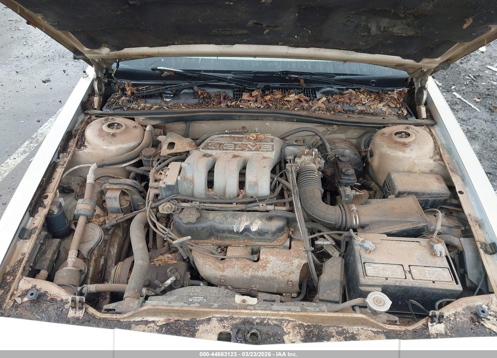 1991 DODGE DYNASTY LE VIN: 1B3XC56R5MD124466