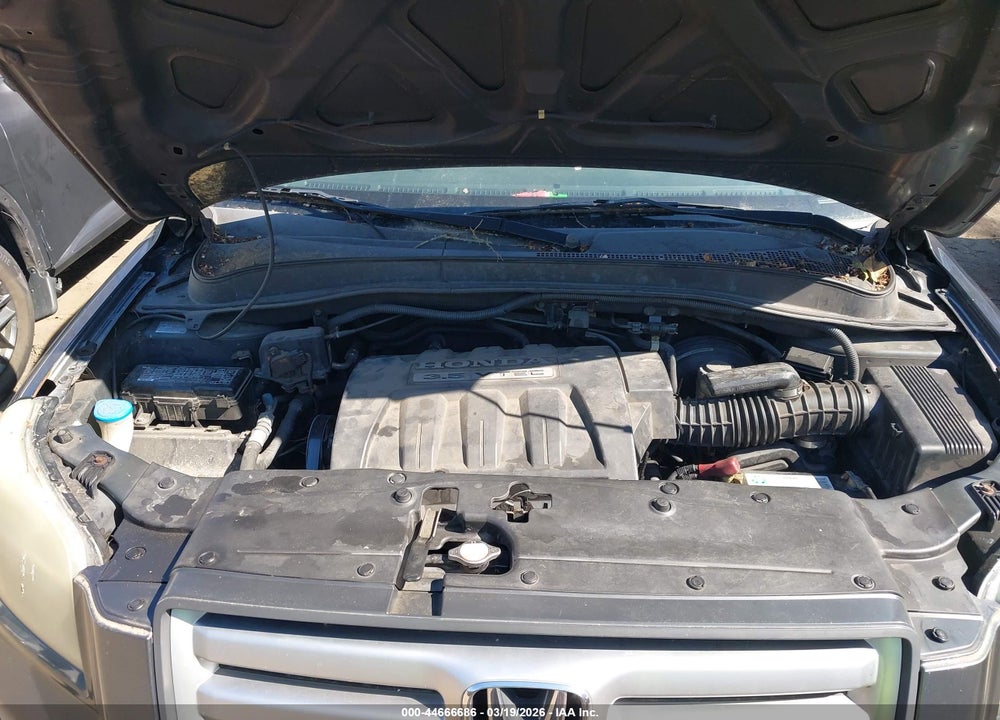 2006 HONDA PILOT EX-L VIN: 5FNYF18556B008533