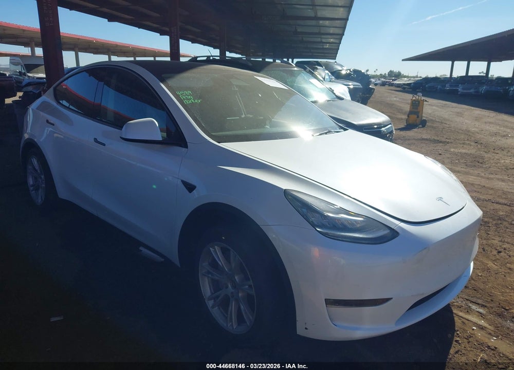 2023 TESLA MODEL Y VIN: 7SAYGDEE9PA128999