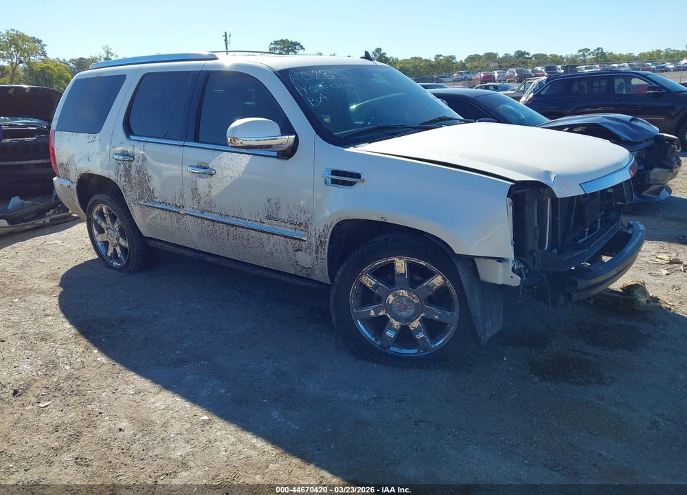 2009 CADILLAC ESCALADE STANDARD VIN: 1GYFK23299R120346