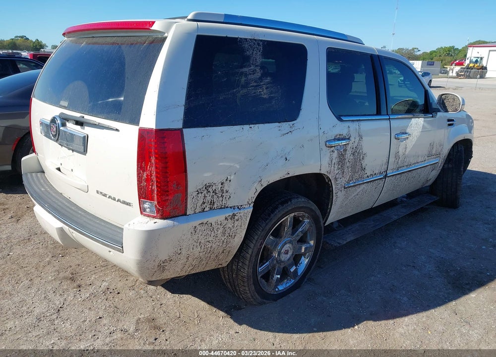2009 CADILLAC ESCALADE STANDARD VIN: 1GYFK23299R120346