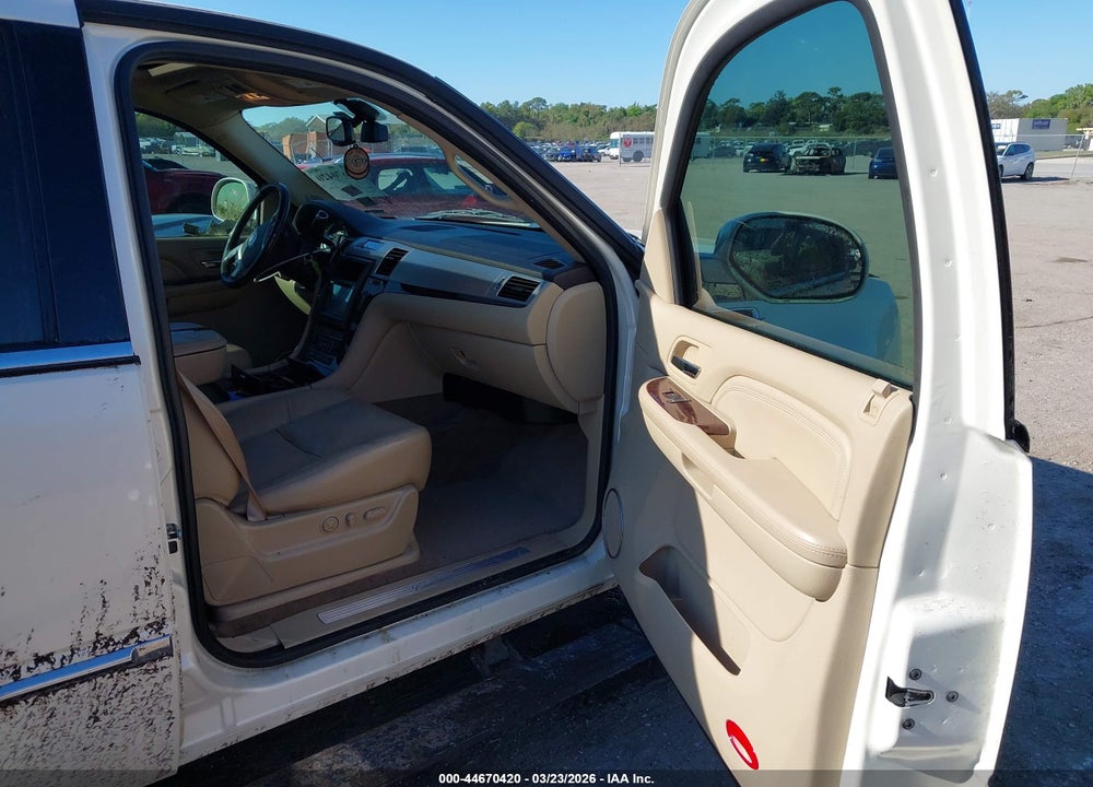 2009 CADILLAC ESCALADE STANDARD VIN: 1GYFK23299R120346