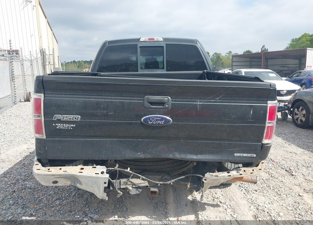 2014 FORD F-150 XLT VIN: 1FTEW1CM1EFA71513