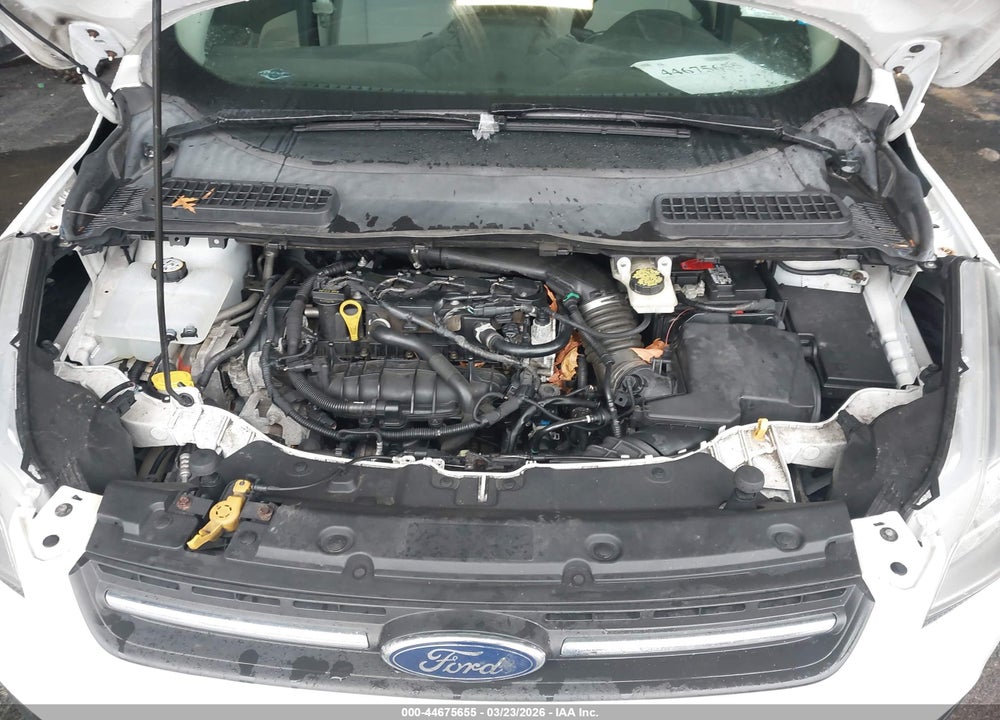 2015 FORD ESCAPE SE VIN: 1FMCU0GXXFUC89695